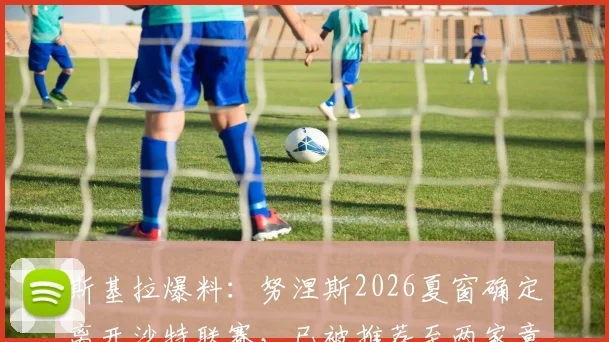 斯基拉爆料：努涅斯2026夏窗确定离开沙特联赛，已被推荐至两家意甲球会，转会动态深度追踪